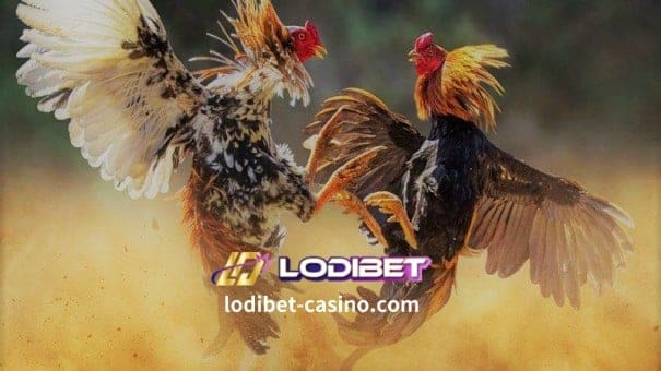 LODIBET Online Casino-Sabong 1