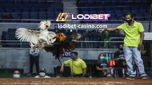 LODIBET Online Casino-Sabong 1